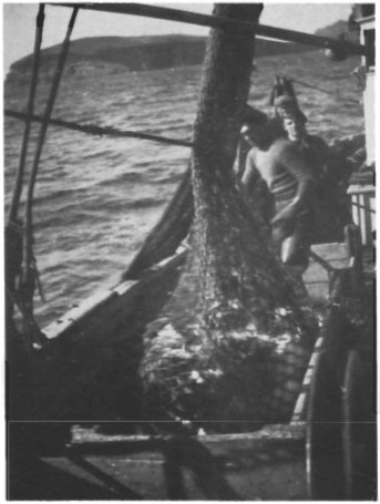 Mynd:Screen Shot 2017-07-05 at 08.19.33.png