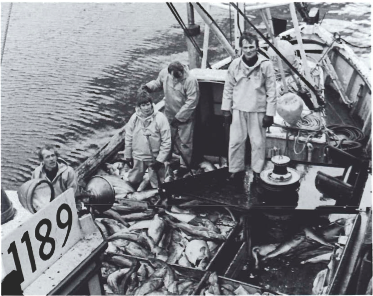 Mynd:Screen Shot 2017-07-26 at 11.44.27.png