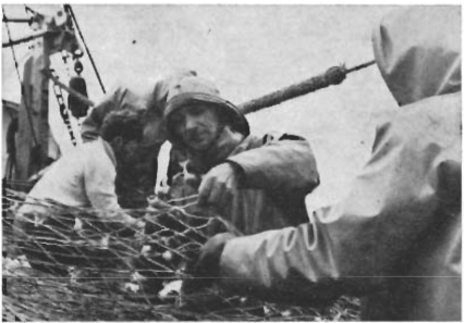 Mynd:Á trolli. Ljósm.- A. Podolok - Engey s.l. sumar.png