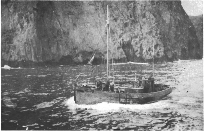 Mynd:Screen Shot 2017-07-13 at 11.29.39.png