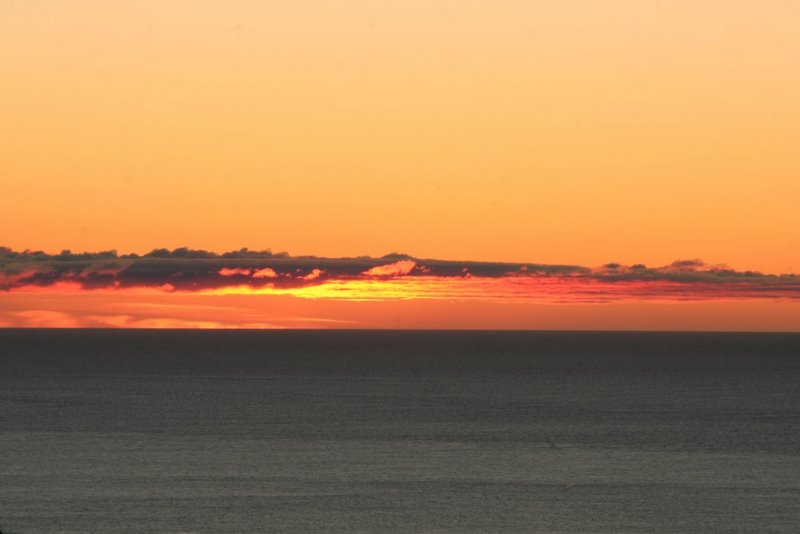 Mynd:Mannsi (54).jpg