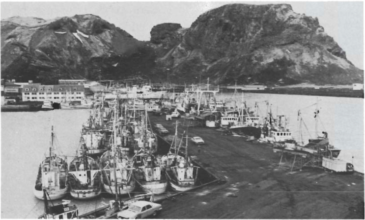 Mynd:Screen Shot 2017-07-06 at 09.28.43.png