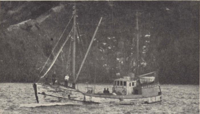 Mynd:Mb. Gullborg.png