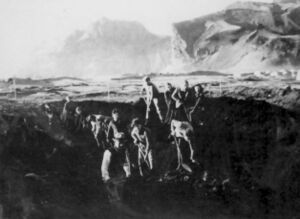 Saga Vestm., E., II., 80gb.jpg