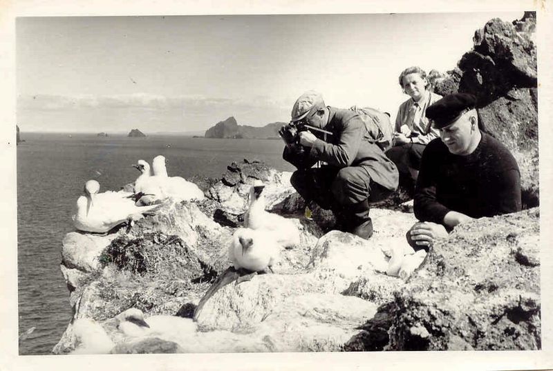 Mynd:Fa-brunt (55).jpg