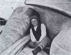 Í gini hvalsins Sdbl. 1991.jpg