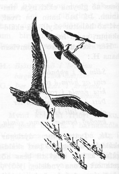 Mynd:1961 b 2224 C.jpg