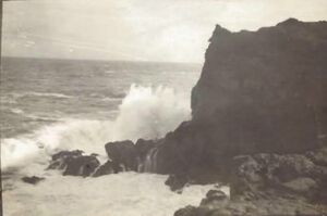 Fa-fjólublátt (22).jpg