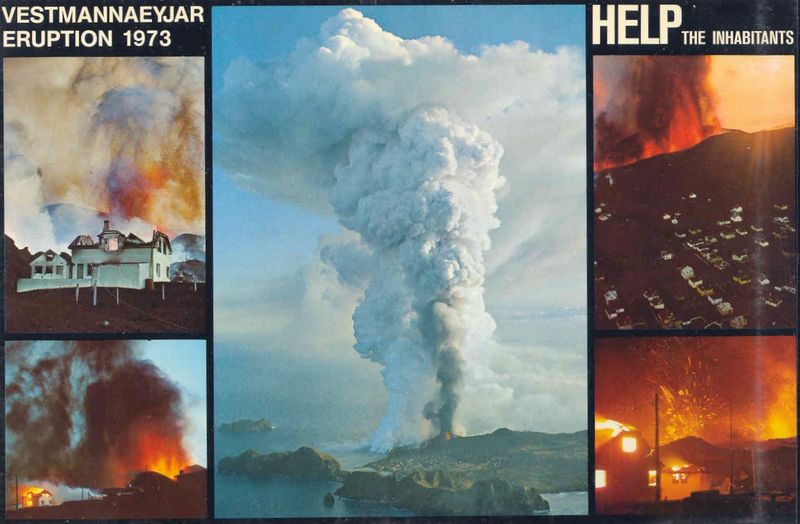 Mynd:Fa-grænt (23).jpg