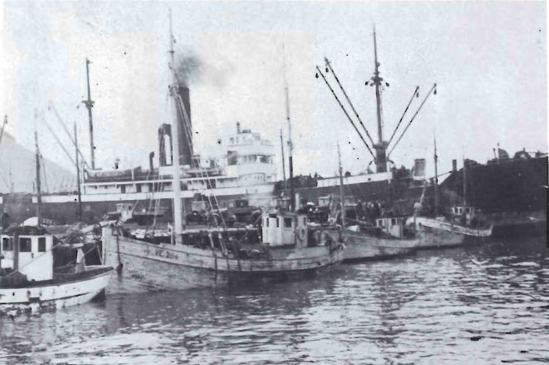 Mynd:Erlent flugningaskip Sdbl. 1990.jpg