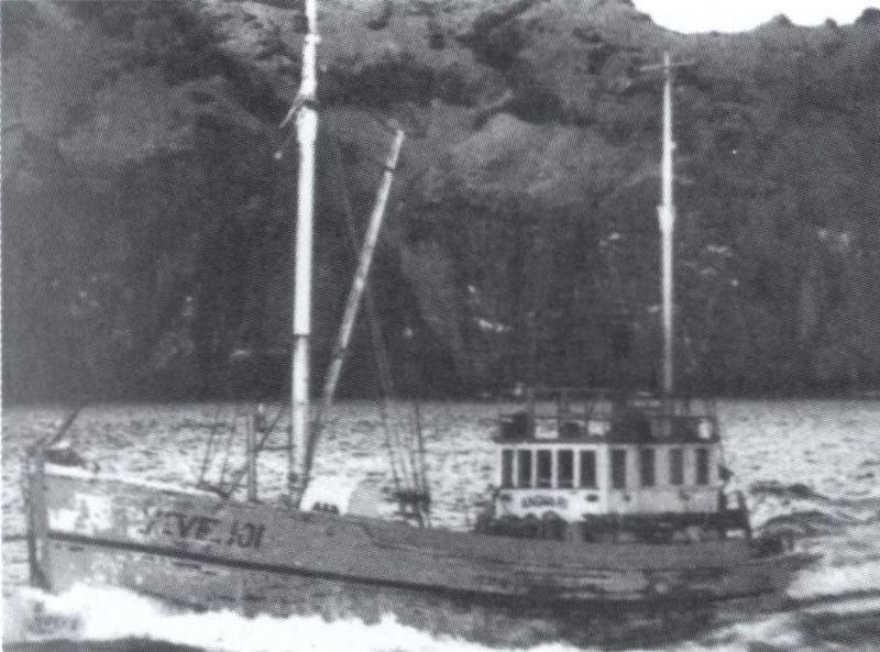 Mynd:Andvari VE Sdbl. 2008.jpg