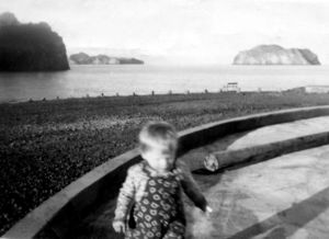 Skansinn tankur fannberg.jpg