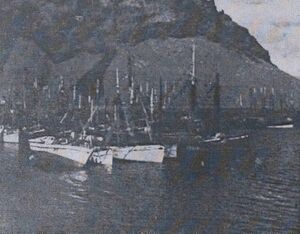 Fullskipuð Höfn.JPG