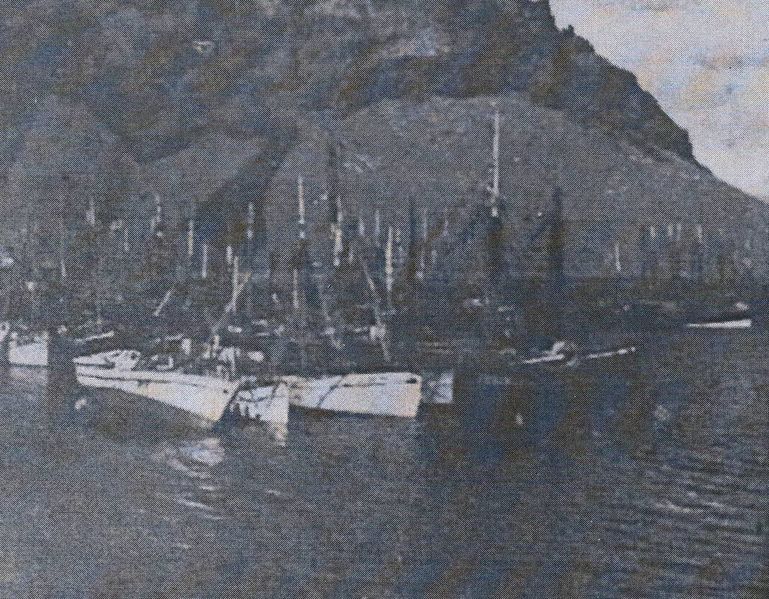 Mynd:Fullskipuð Höfn.JPG