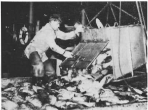 Screen Shot 2016-06-29 at 11.22.43.png