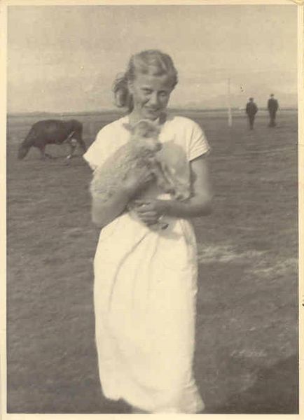 Mynd:Fa-blom (104).jpg