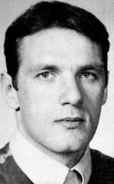 Mynd:Pall Hallgrimsson.jpg