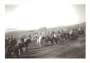 Fa-fjólublátt (44).jpg