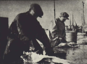 Þessir kunna á því tökin.png