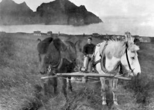 Saga Vestm., II., 104fa.jpg