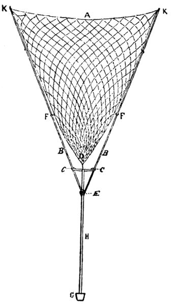Mynd:Japanskur háfur.jpg