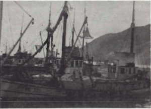 Screen Shot 2016-07-01 at 08.13.00.png