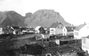 Urdavegur bakatil.jpg