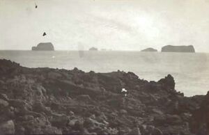 Fa-fjólublátt (21).jpg