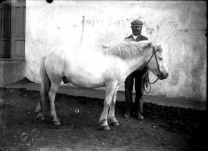 KG-mannamyndir 13475.jpg