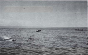 Screen Shot 2017-08-15 at 08.56.14.png