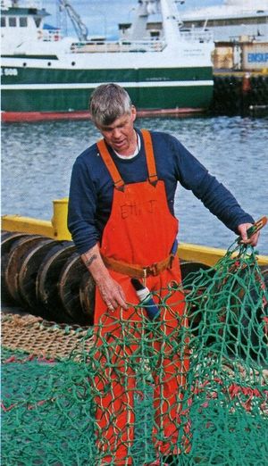 Tói 6 Sdbl.2010.jpg