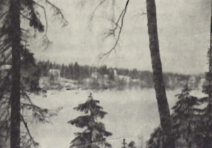 Frá skógunum austan fjalls í Noregi.png