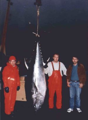 Tómas Ísfeld Sdbl. 1998.jpg