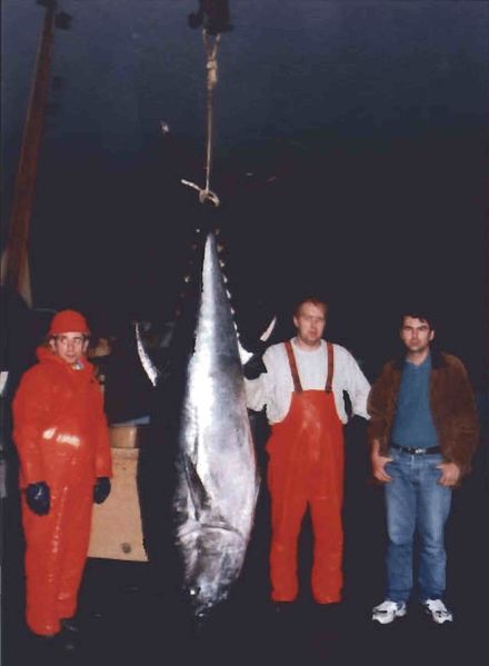 Mynd:Tómas Ísfeld Sdbl. 1998.jpg