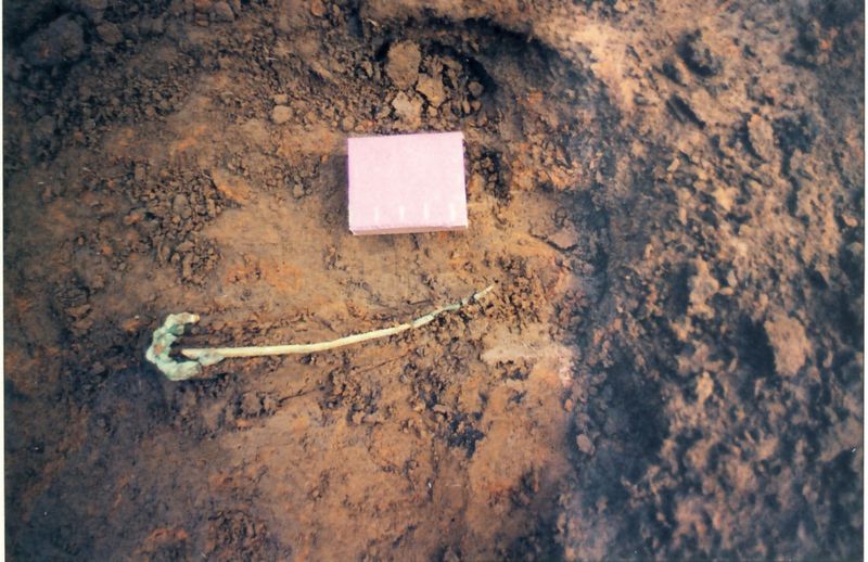 Mynd:Saga Vestm., E, 32ea.jpg