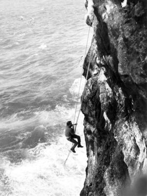 Eggjataka í Hellisey. 42 minni.jpg