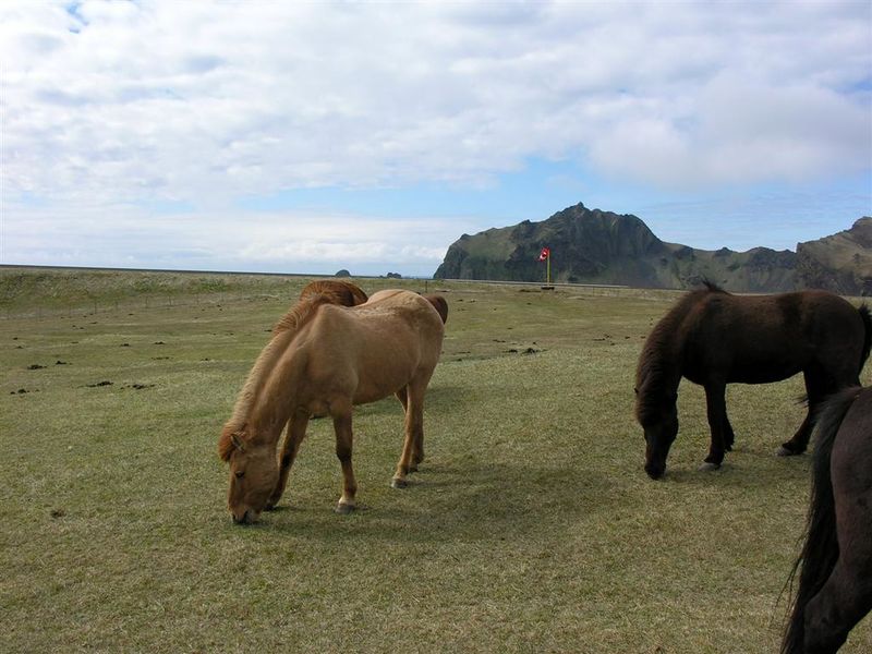 Mynd:Hansueli (138).JPG