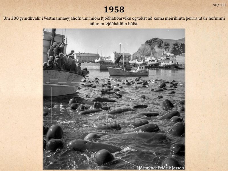 Mynd:100 ára sýning (90).jpg