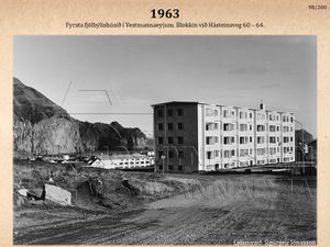 100 ára sýning (98).jpg