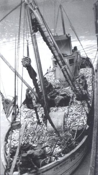 Mynd:Erlingur II VE 325 drekkhlaðinn Sdbl. 2008.jpg