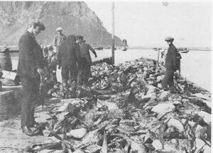 Saga Vestm. E.1144d.jpg