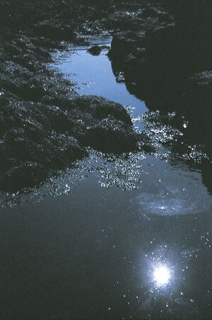 Klappir langalon fjara.jpg