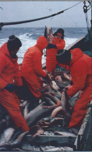 Screen Shot 2017-08-29 at 10.41.21.png