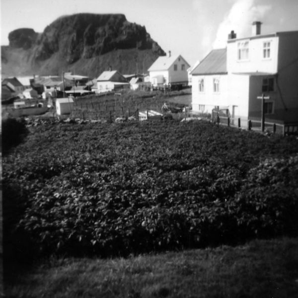 Mynd:Urdavegur 28 husavik.jpg