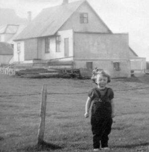 Vatnsdalur folkid hulda skalholt landagotu.jpg