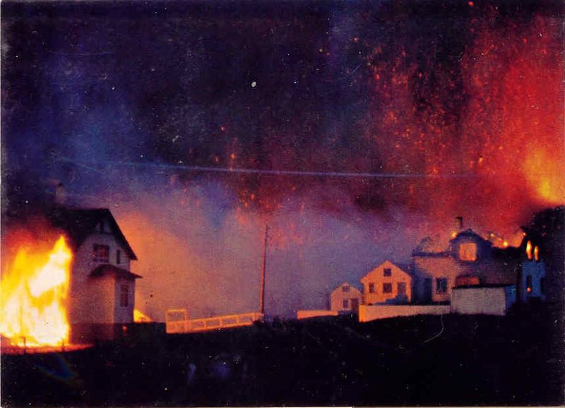 Mynd:Fa-grænt (22).jpg