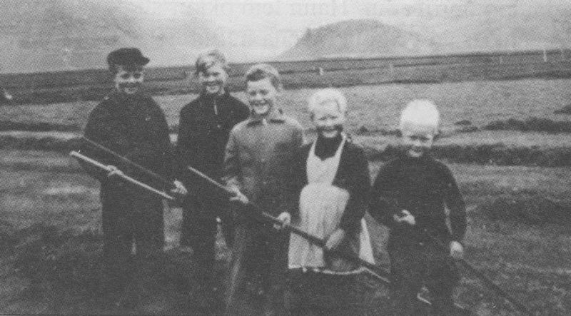 Mynd:Í sveitinni.jpg