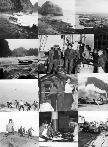 Mynd:1961 b 170 A.jpg