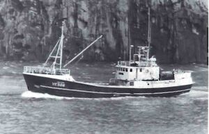 Dala Rafn fyrir breytingu.jpg