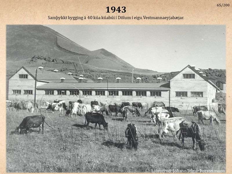 Mynd:100 ára sýning (65).jpg